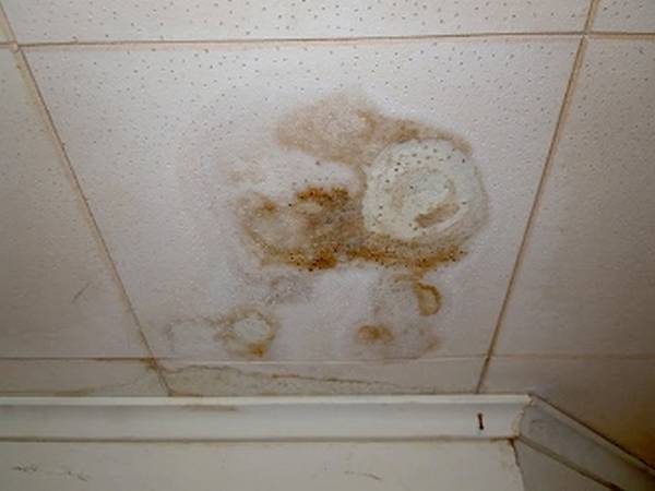 Борьба с грибком на потолке - фото