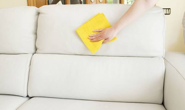 Чем можно почистить кожаный диван с фото