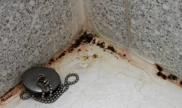 Как можно избавиться от черной плесени в ванной? - фото