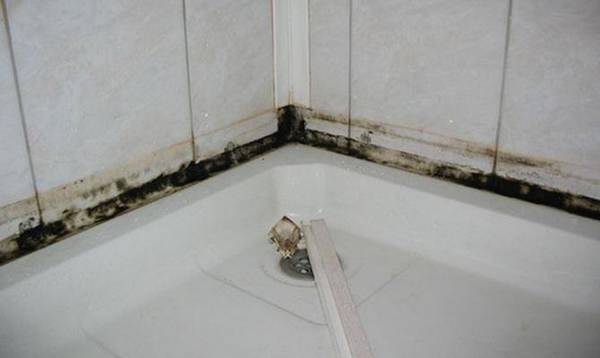 Как можно убрать плесень в ванной на герметике - фото